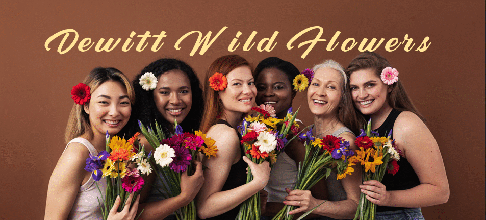 Dewitt Wild Flowers